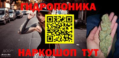 дживик Кунгур