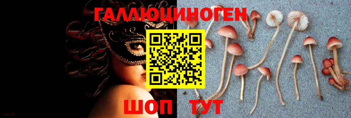 Грязи  Галлюциногенные грибы Psilocybine cubensis  Вход с VPN 